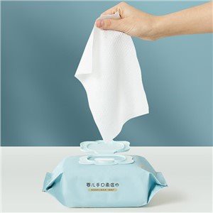 Šlapias rankšluostis